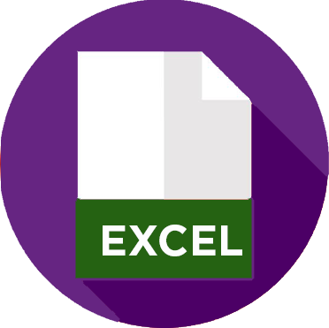 FORMATO PROGRAMA DE EJECUCIÓN