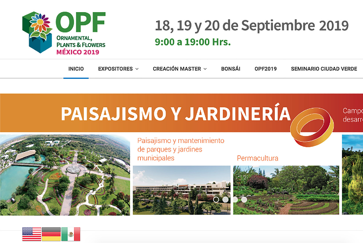 Diseño Responsivo